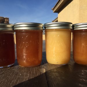 Mesquite Honey